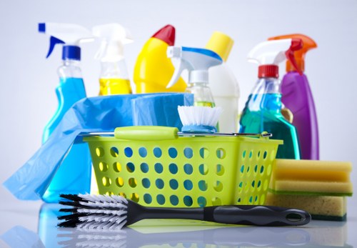Professional one off cleaning for a W9 apartment interior