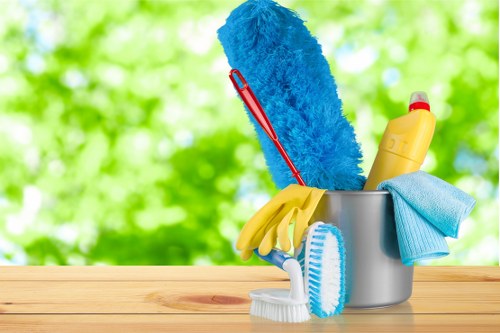 Thorough deep cleaning service for a W9 home interior