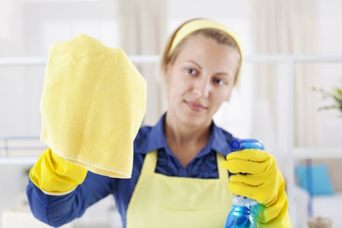 Professional oven cleaning service for homes and flats in W9