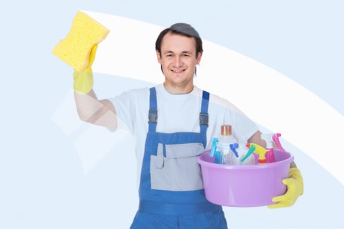 Domestic cleaning service for a W9 home interior