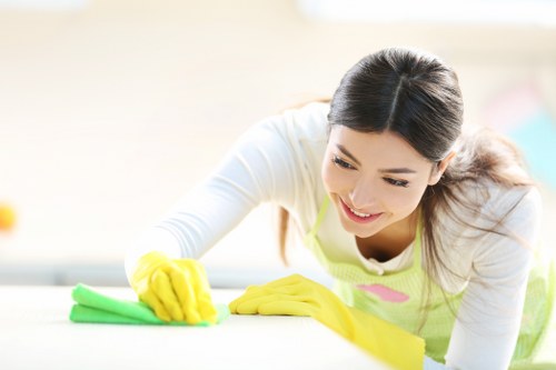 Bank transfer and secure checkout concept for Carpet Cleaners W9