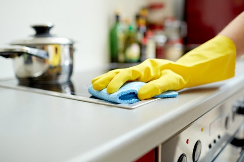Bathroom descaling and surface cleaning during a W9 deep clean