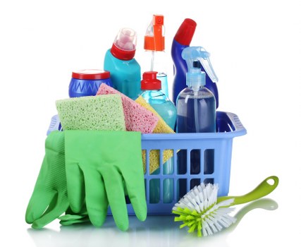 Cleaning treatment for pet odour in a W9 flat or apartment