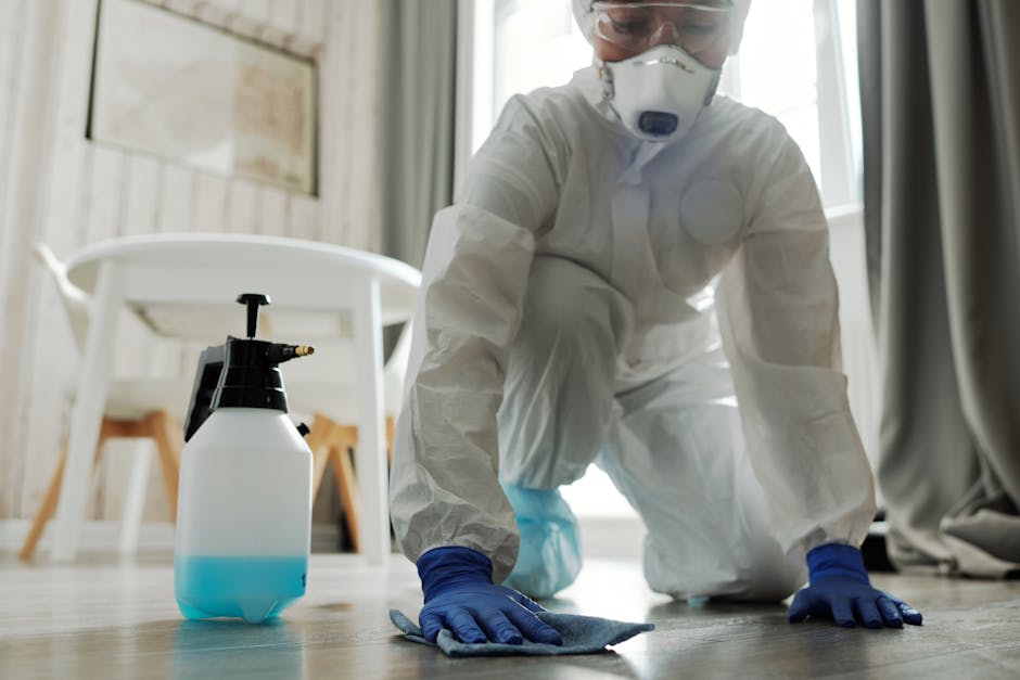 A professional cleaner dressed in full white protective coveralls, gloves, and a face mask is kneeling on a wooden floor during a deep cleaning process at a residential home in Maida Vale. The cleaner is using a cloth to wipe the floor, which appears clean and free of dust or debris. Next to the cleaner, there is a spray bottle with a blue liquid, indicating sanitisation or surface cleaning. The background features a dining area with a white chair and a table, illuminated by natural light coming through a window, emphasizing a bright and tidy environment. This scene highlights surface cleaning and sanitisation as part of a comprehensive domestic cleaning service provided by Carpet Cleaners W9, focusing on maintaining hygiene and cleanliness in homes during urgent same-day cleaning emergencies.